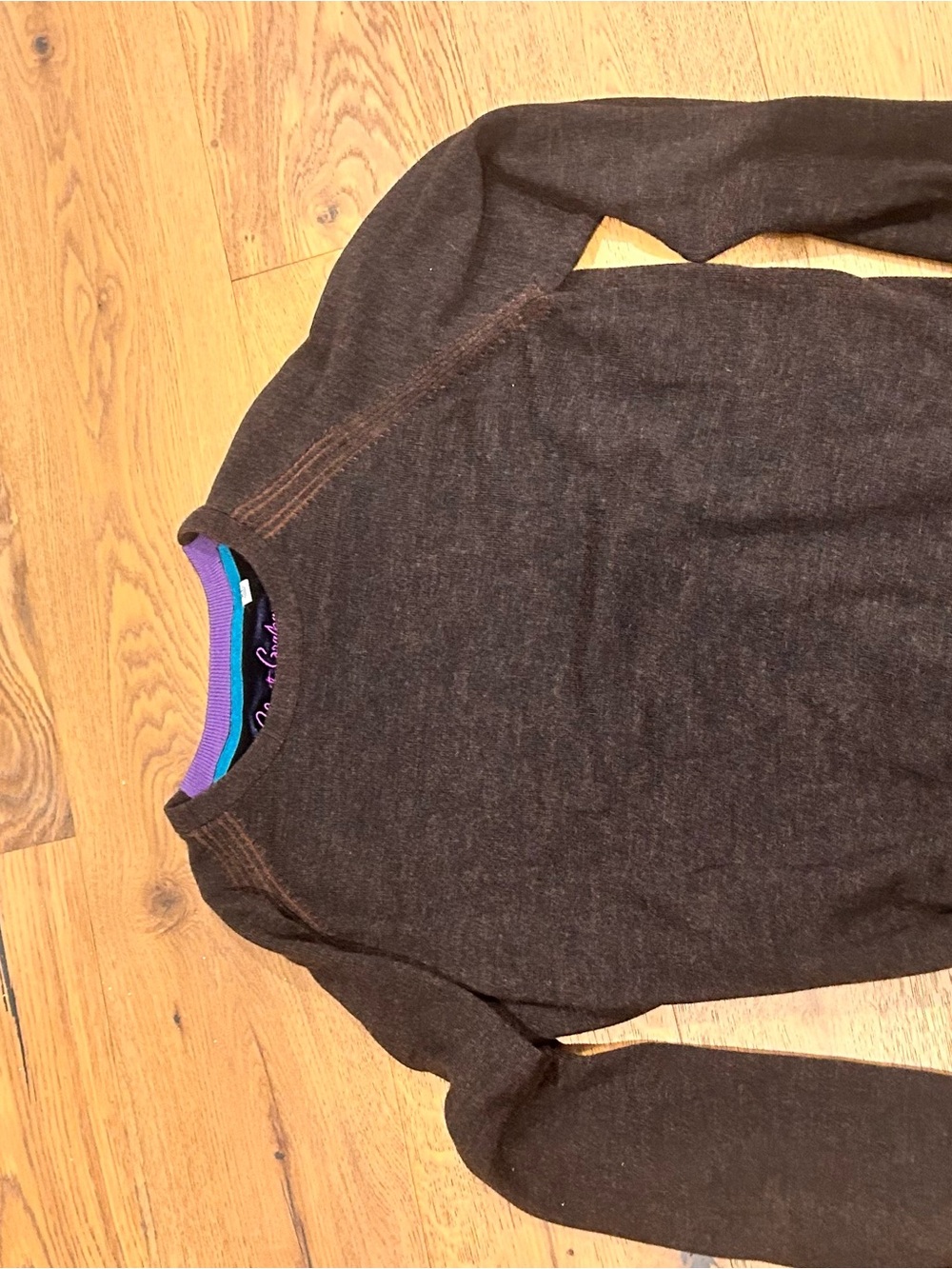 VINTAGE Robert Graham Brown Crewneck Sweater with Purple Trim